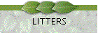LITTERS
